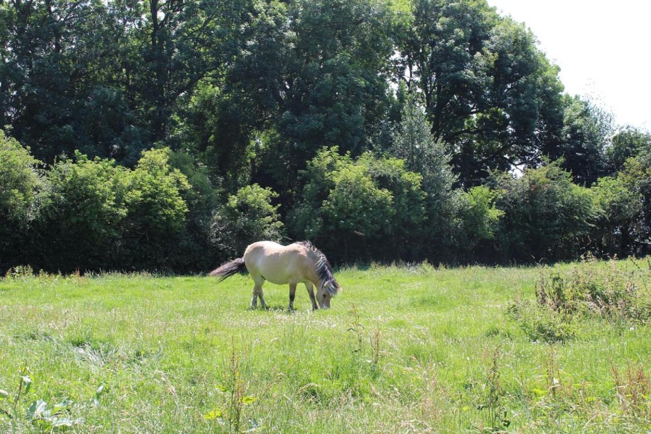 La Ferme De La Croix *